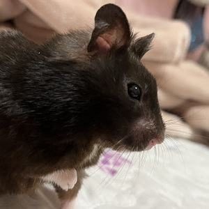 Meet your Posher, Katelynn